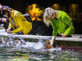 2025 – The Most Successful Year in the History of Zoo Zlín