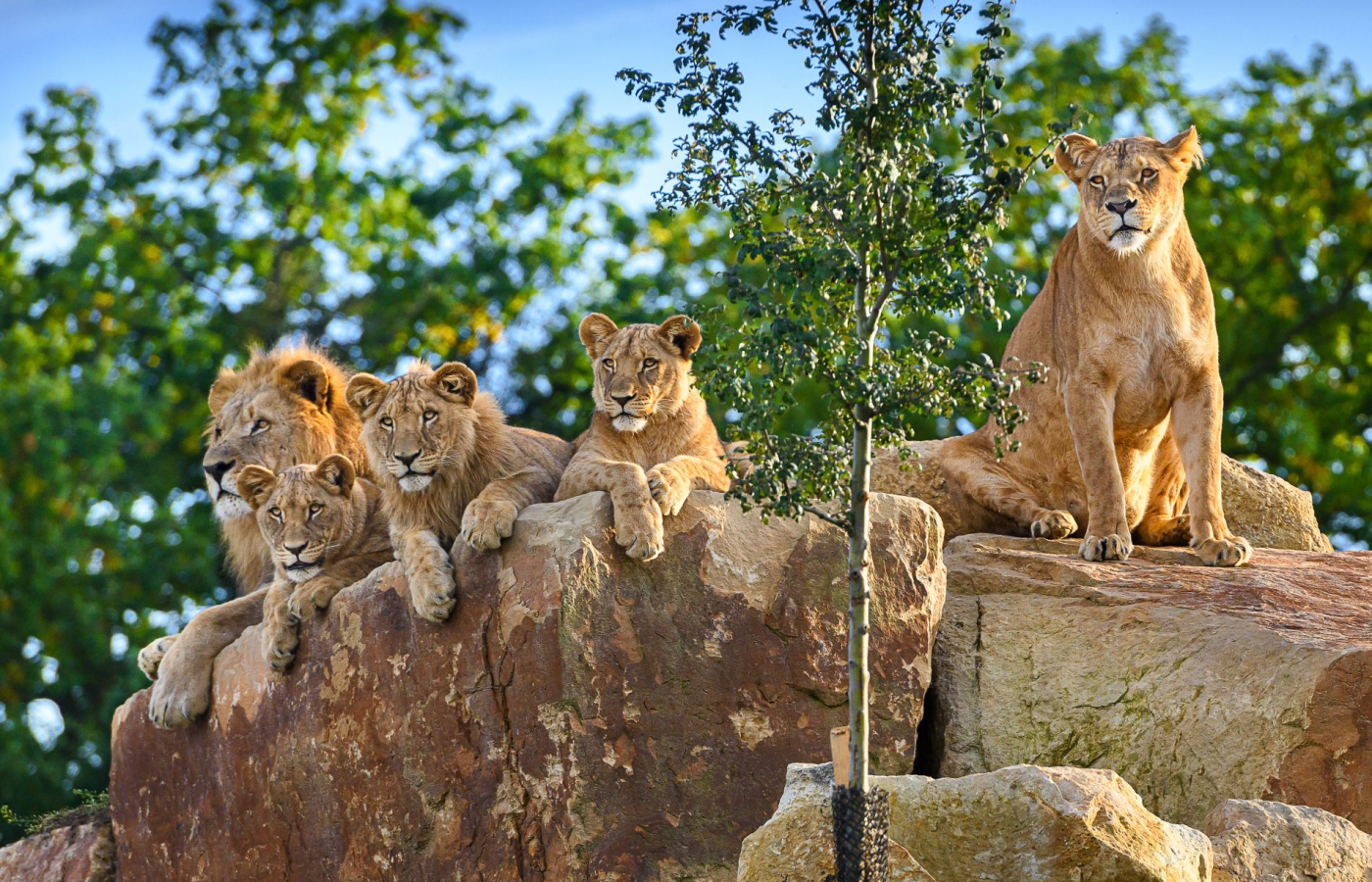 2025 – The Most Successful Year in the History of Zoo Zlín