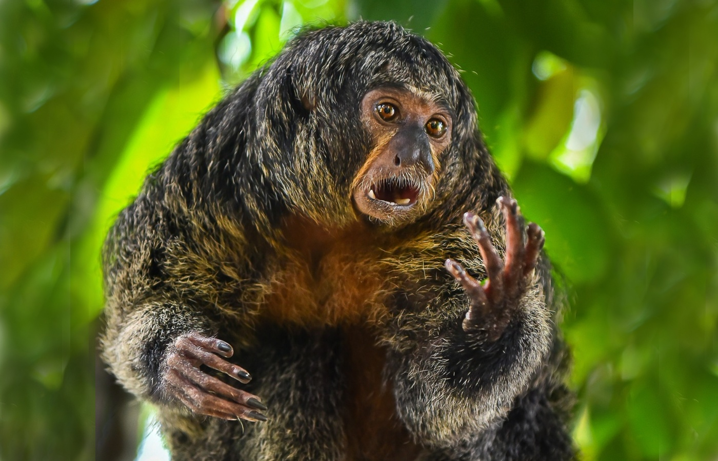 Důležité upozornění