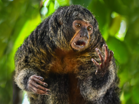 Důležité upozornění