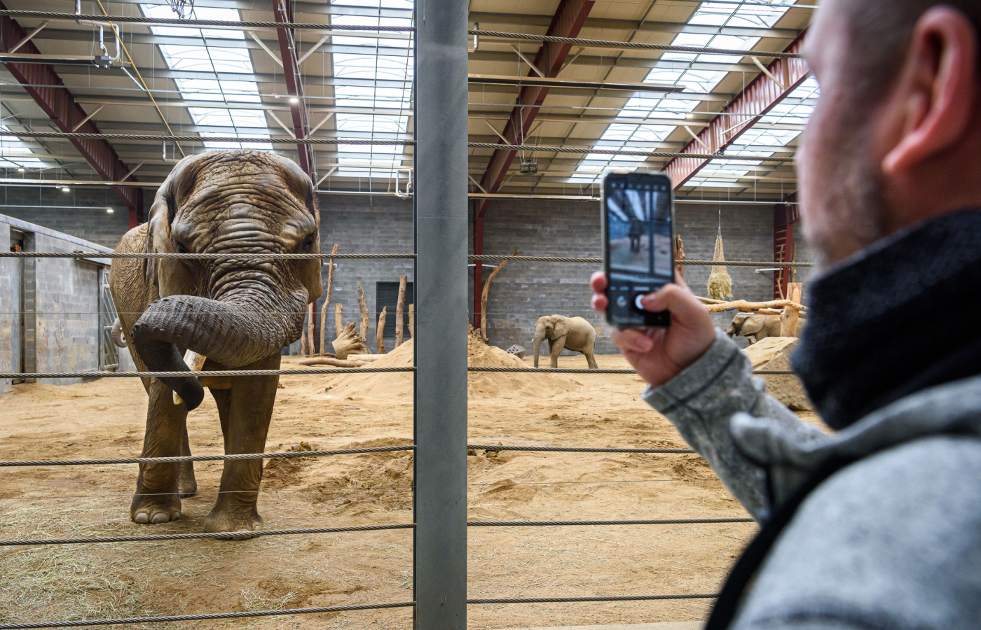 Prohlídky chovného zařízení pro slony