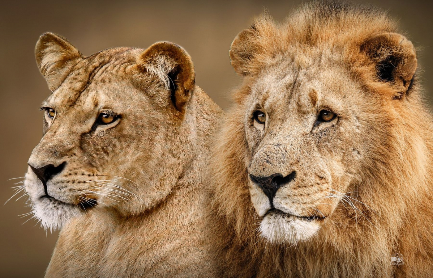 Zoo v Česku hodnotí minulý rok: Praha má rekord, ale ve Zlíně mají taháky, které jinde nenajdete