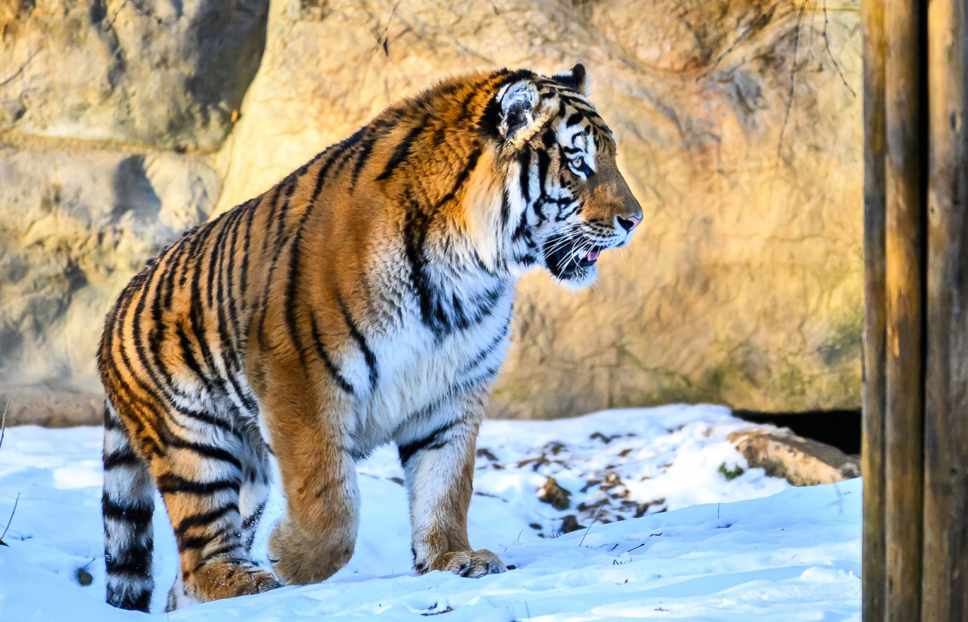 Ozzy je už v Portugalsku