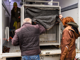 Ozzy je už v Portugalsku