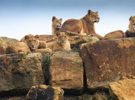 jarní prázdniny v zoo