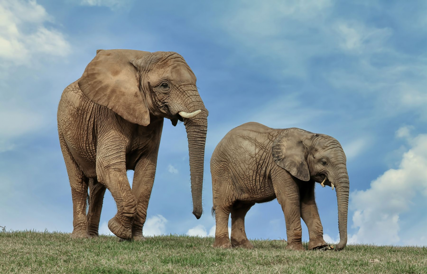 jarní prázdniny v zoo