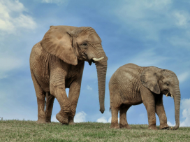 jarní prázdniny v zoo