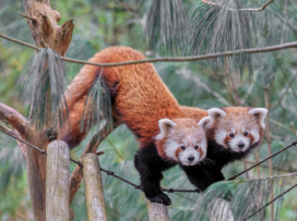 jarní prázdniny v zoo