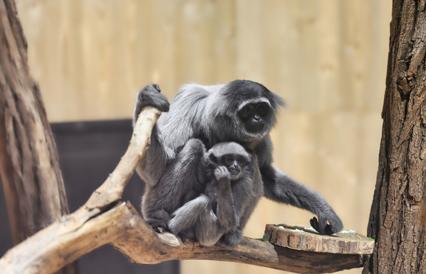 jarní prázdniny v zoo