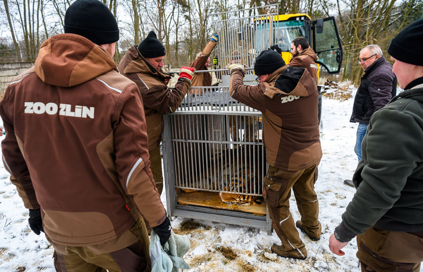 Ozzy is already in Portugal