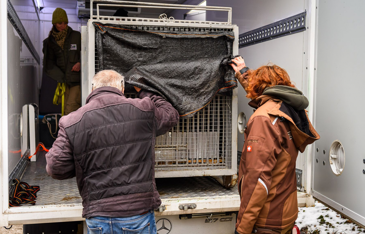 Ozzy is already in Portugal