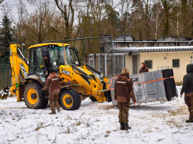 Ozzy is already in Portugal