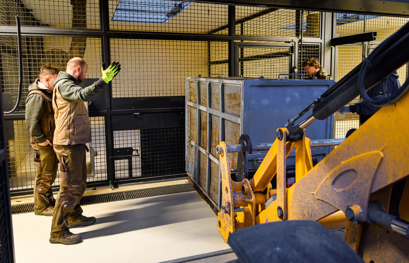 Do Zoo Zlín dorazily dvě lvice, které stát zabavil soukromému chovateli