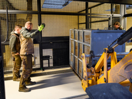 Do Zoo Zlín dorazily dvě lvice, které stát zabavil soukromému chovateli