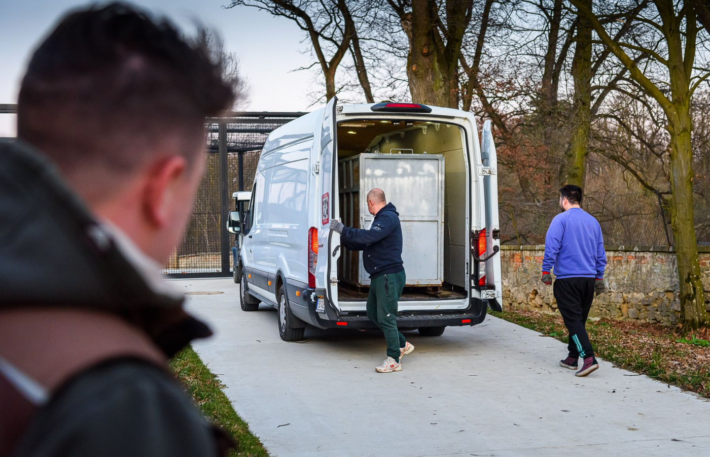 Rescued from poor living conditions: Two lionesses find a new home at the Zlín Zoo