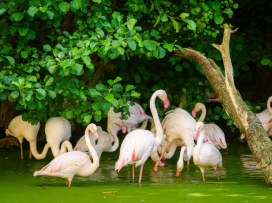 Zoo Zlín v sobotu 25. dubna oslaví Den Země