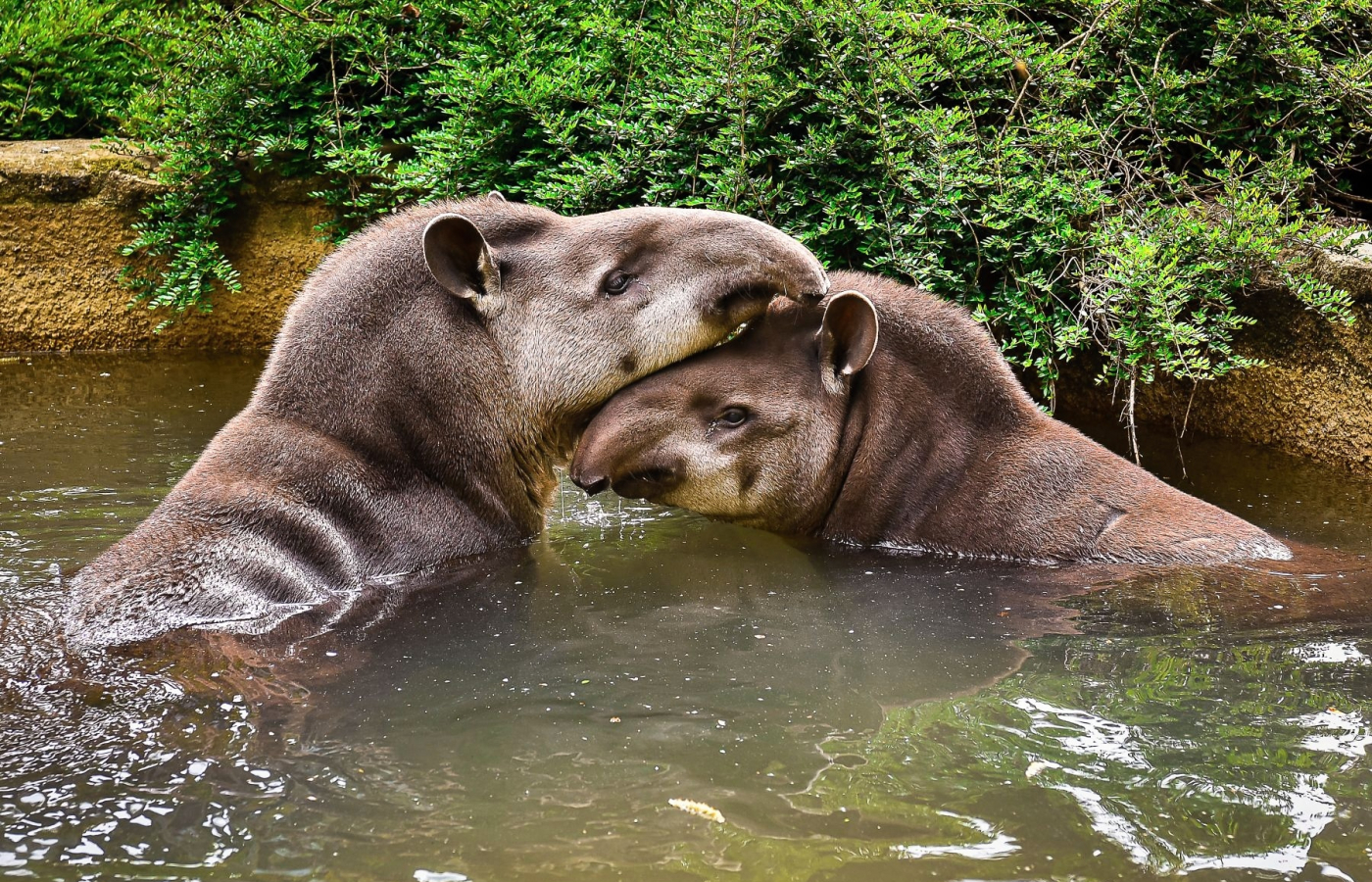 May at Zlín Zoo