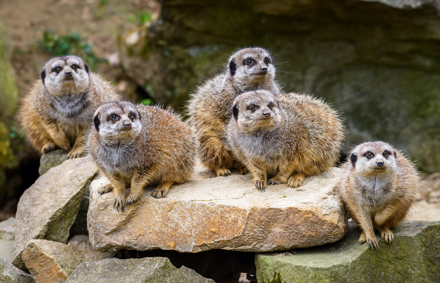 May at Zlín Zoo