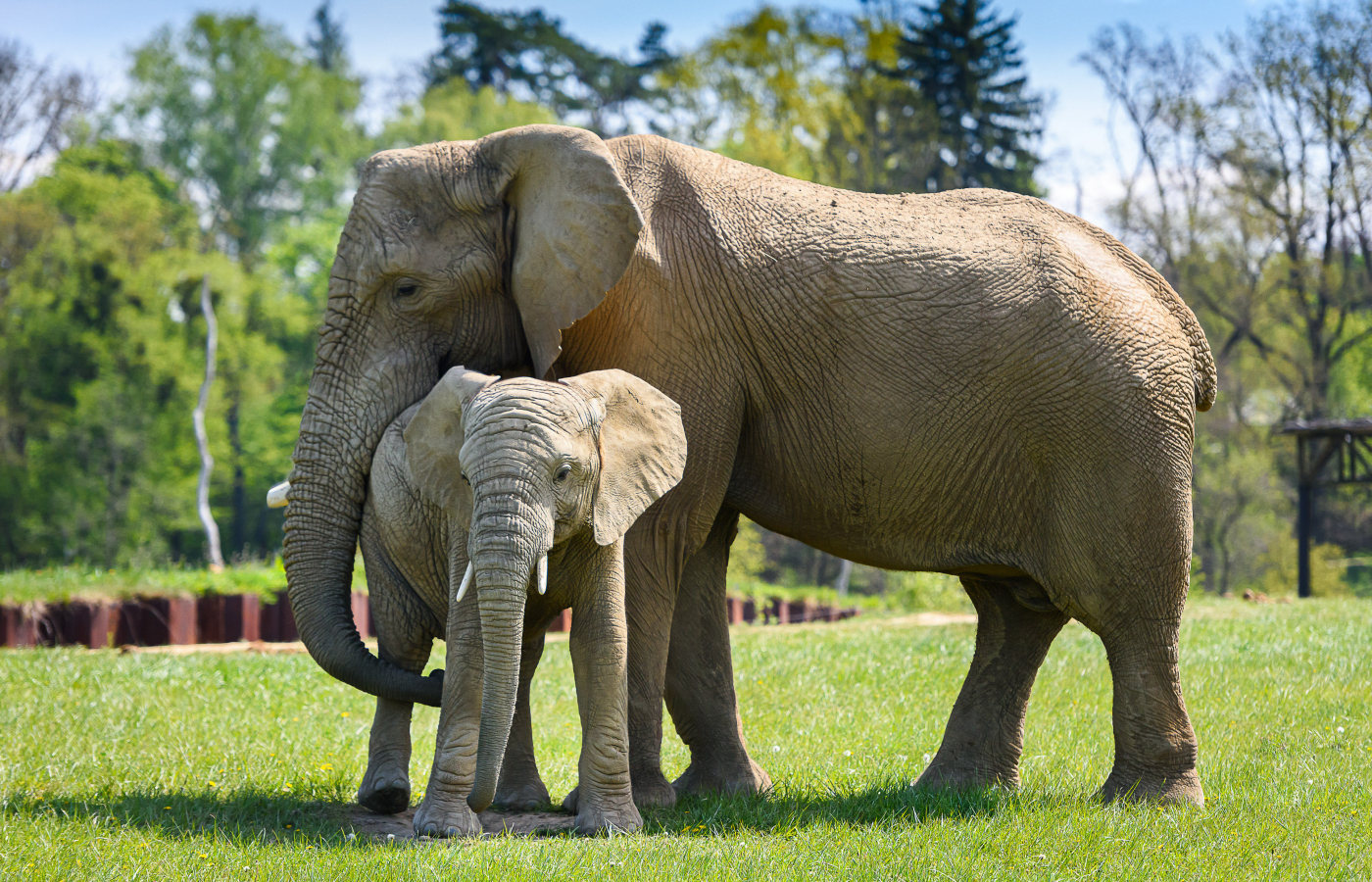May at Zlín Zoo
