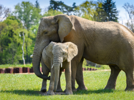 May at Zlín Zoo