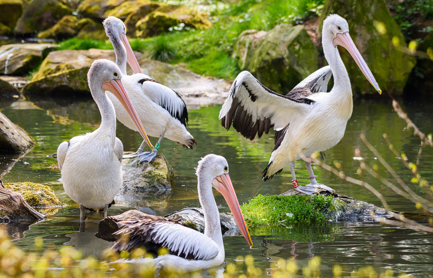 May at Zlín Zoo