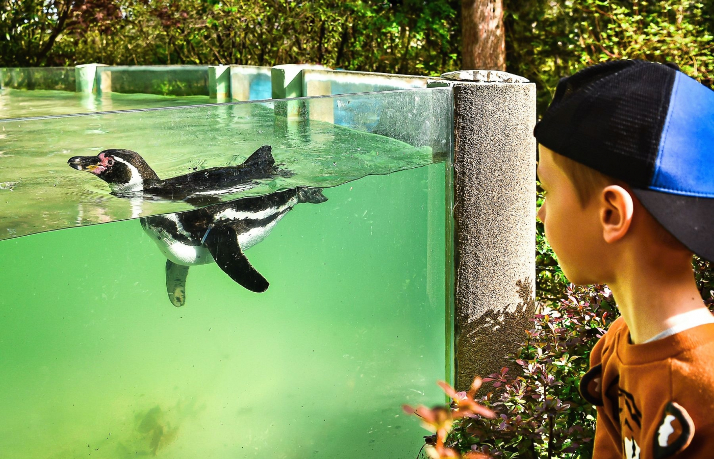 May at Zlín Zoo