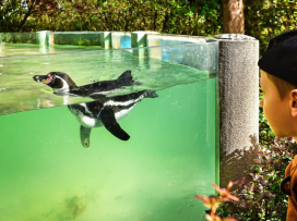 May at Zlín Zoo