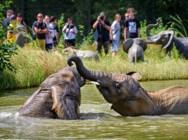 Hurá do Zoo Zlín, i v horku je u nás příjemně