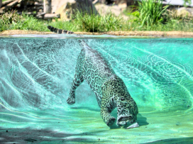 Hurá do Zoo Zlín, i v horku je u nás příjemně