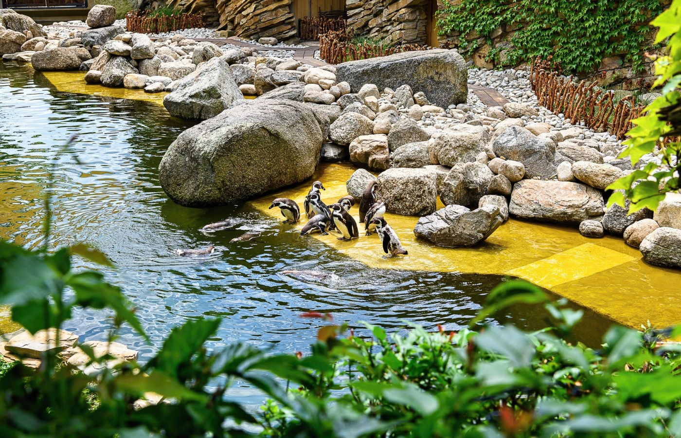 Hurá do Zoo Zlín, i v horku je u nás příjemně
