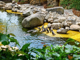Hurá do Zoo Zlín, i v horku je u nás příjemně
