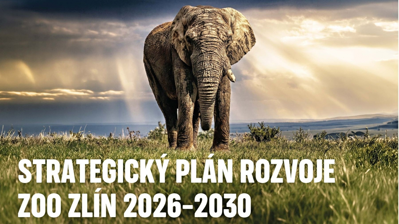 Zoo Zlín v příštích 5 letech