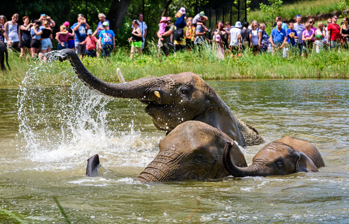Portál arecenze.cz opětovně vyhlásil Zoo Zlín jako nejlepší zoo v ČR