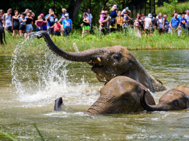 Portál arecenze.cz opětovně vyhlásil Zoo Zlín jako nejlepší zoo v ČR