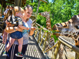 Portál arecenze.cz opětovně vyhlásil Zoo Zlín jako nejlepší zoo v ČR