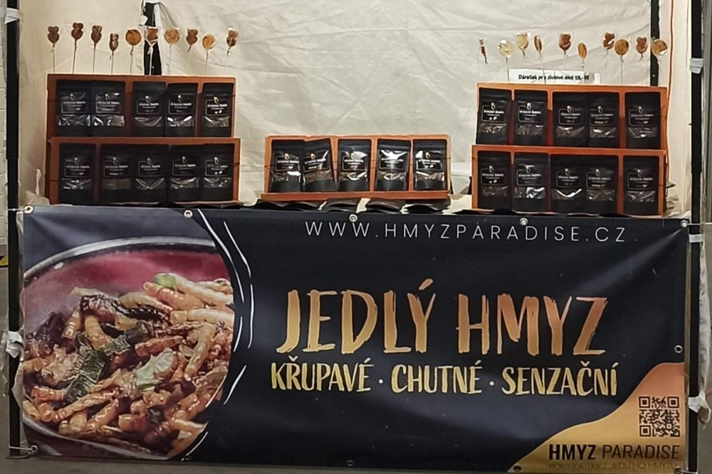 Dny Afriky v Zoo Zlín