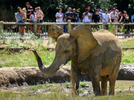 V září a říjnu do Zoo Zlín za stovku