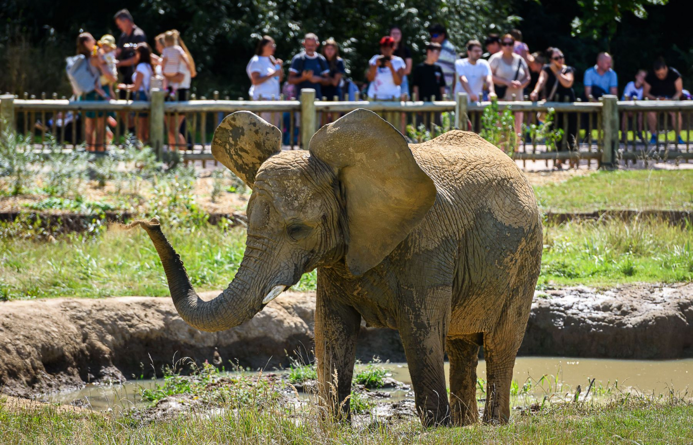 Visit Zoo Zlín in September and October for CZK 100!
