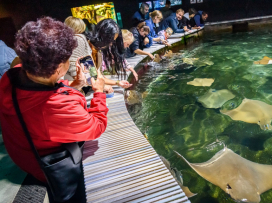 V říjnu do Zoo Zlín za 100 Kč