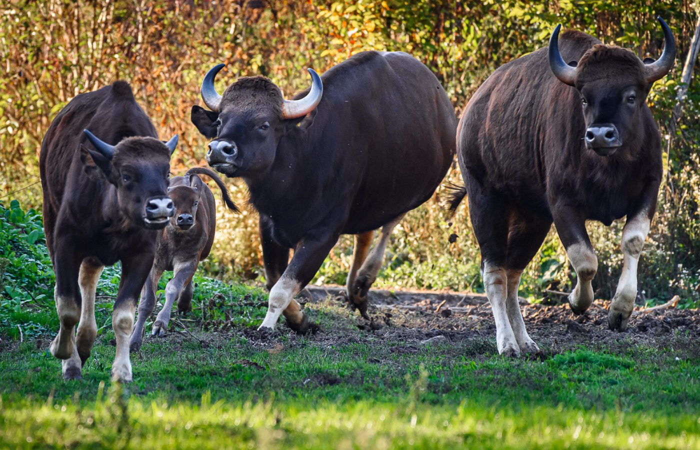 V říjnu do Zoo Zlín za 100 Kč
