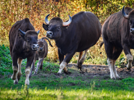 V říjnu do Zoo Zlín za 100 Kč