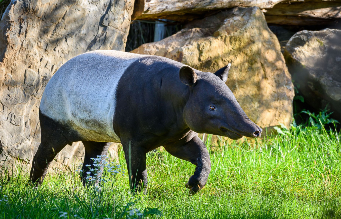 V říjnu do Zoo Zlín za 100 Kč