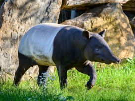 V říjnu do Zoo Zlín za 100 Kč