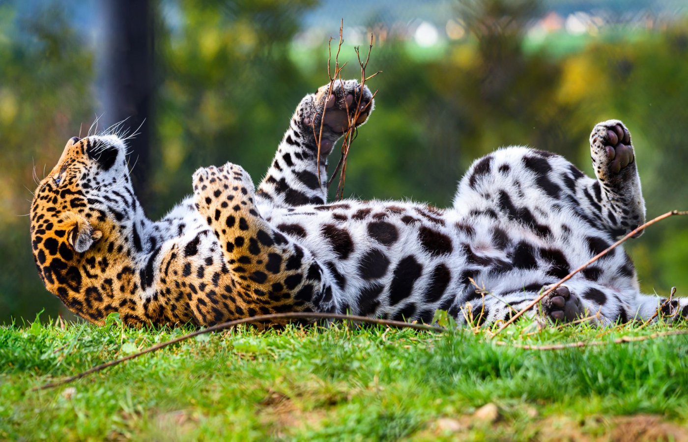 V říjnu do Zoo Zlín za 100 Kč