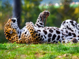 V říjnu do Zoo Zlín za 100 Kč