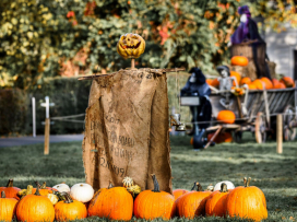 Halloween už klepe na dveře