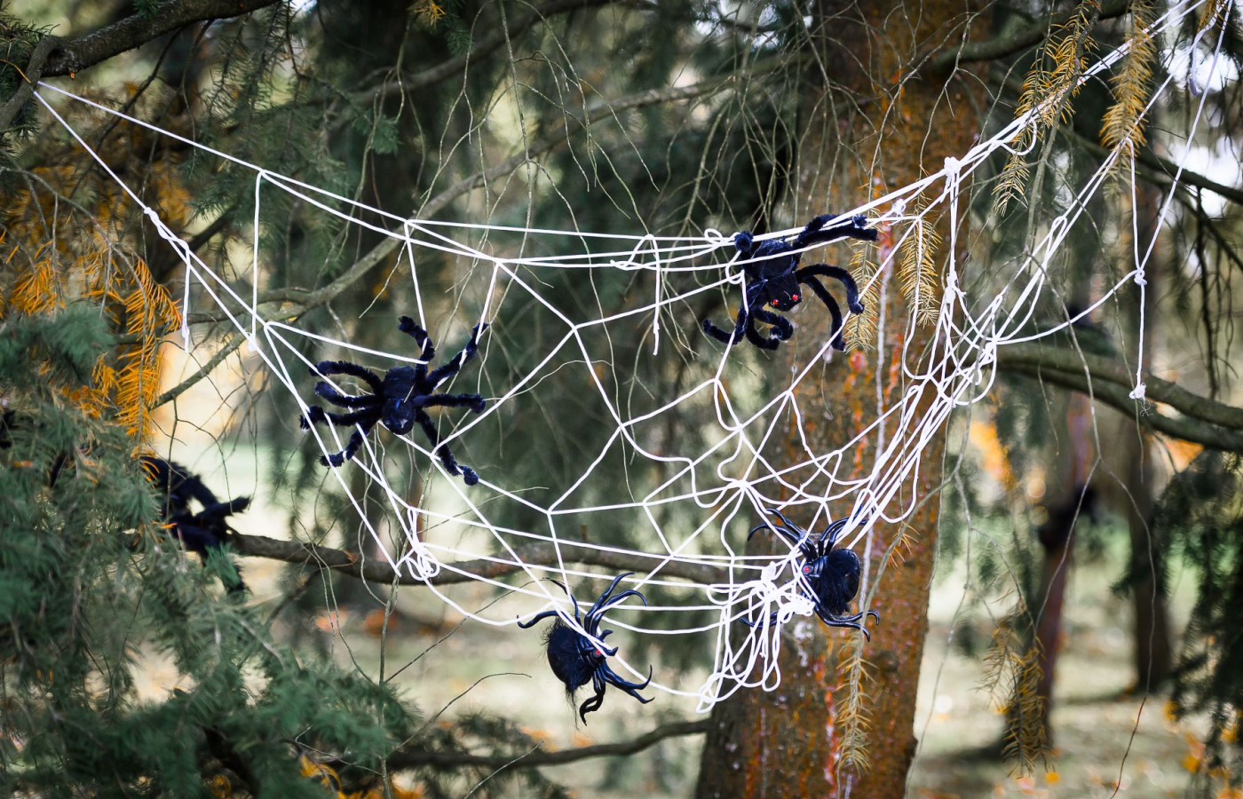 Halloween už klepe na dveře