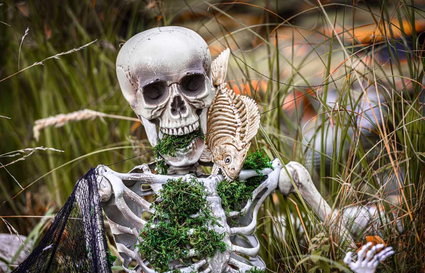 Halloween v Zoo Zlín - kompletní program