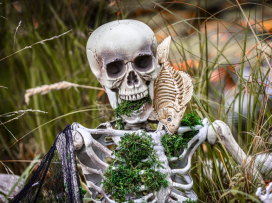 Halloween v Zoo Zlín - kompletní program