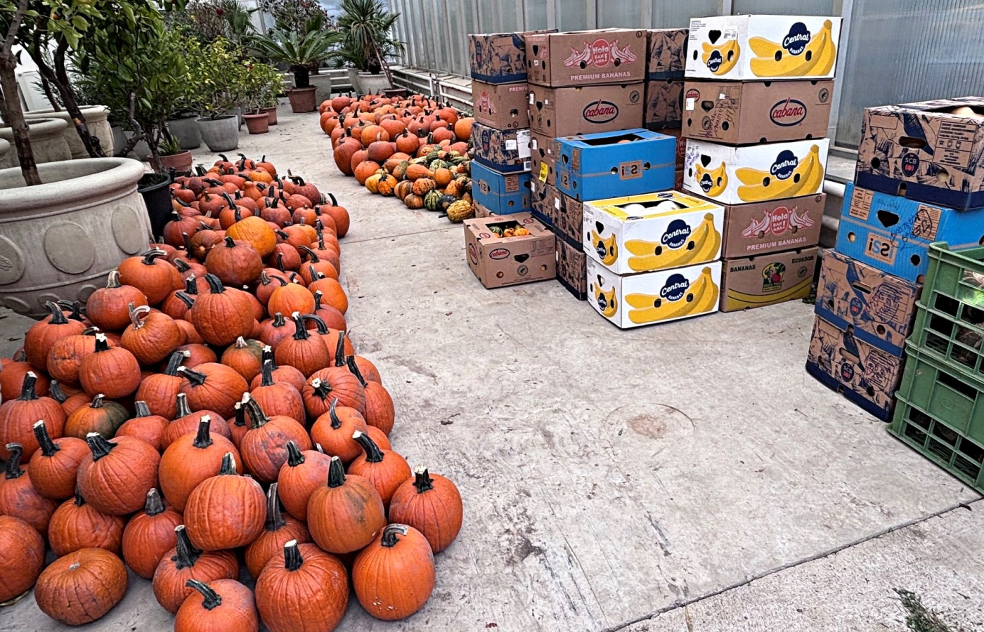 Halloween v Zoo Zlín - kompletní program